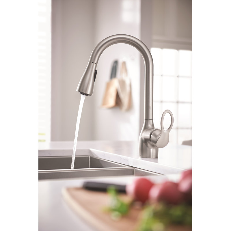 Moen Kleo Single Handle Kitchen Faucet with Duralock and Reflex